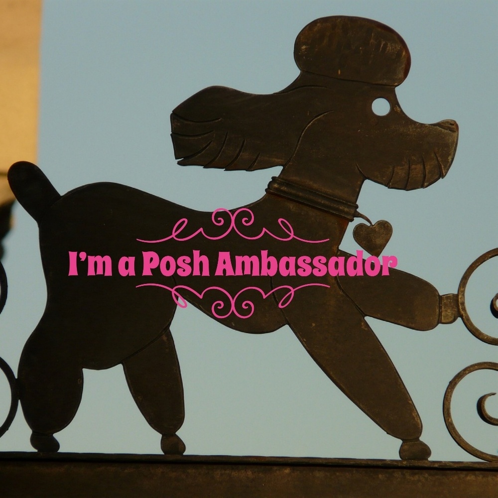 I'M A POSH AMBASSADOR